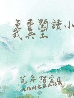 免费阅读小说医武兵王