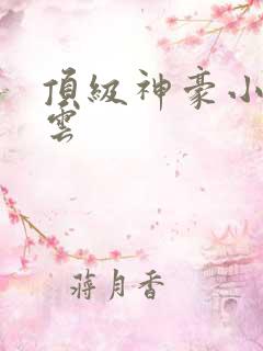 顶级神豪小说林云