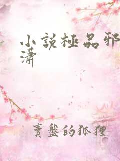 小说极品邪少叶潇
