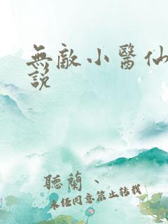 无敌小医仙 小说