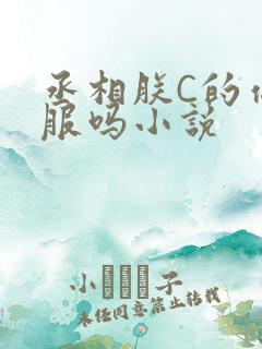 丞相朕C的你舒服吗小说