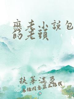 恋老小说包工程的老头