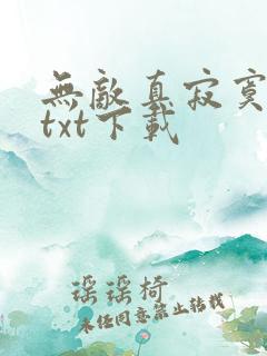 无敌真寂寞小说txt下载