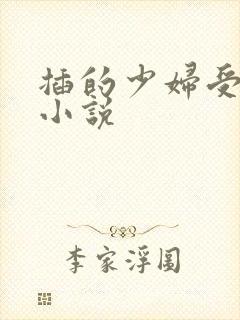 插的少妇受不了小说