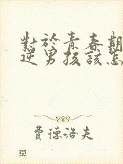 对于青春期的叛逆男孩该怎样管教