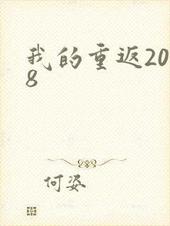 我的重返2008