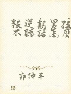 叛逆期男孩孩子不听话怎么教育