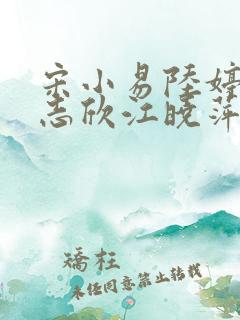 宋小易陆婷婷高志欣江晓萍小说全文在线阅读