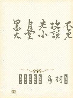 黑月光攻不想上天堂小说免费阅读全文笔趣阁