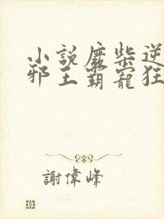 小说废柴逆天:邪王霸宠狂妃