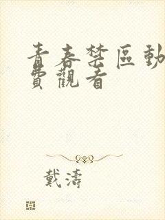 青春禁区动漫免费观看