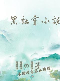 黑社会小说下载
