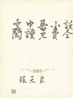 云中岳小说在线阅读免费全文