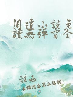 周琼小说免费阅读无弹窗全文阅读