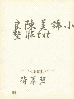 良陈美锦小说完整版txt