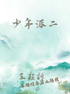 少年派二