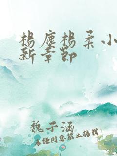 杨尘杨柔小说最新章节