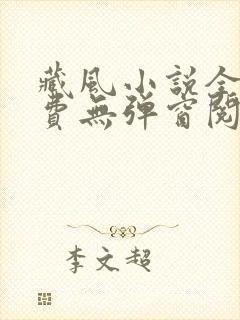 藏风小说全文免费无弹窗阅读笔趣阁