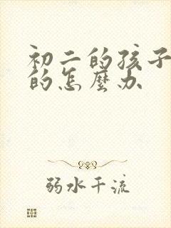 初二的孩子厌学的怎么办