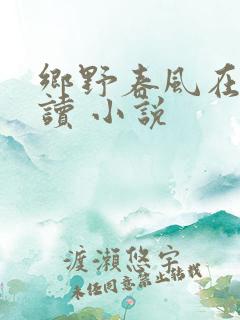 乡野春风在线阅读 小说