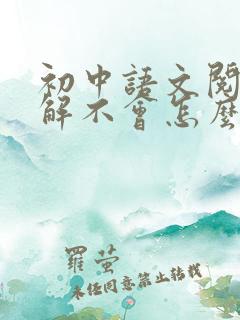 初中语文阅读理解不会怎么办