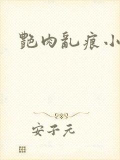 艳肉乱痕小说