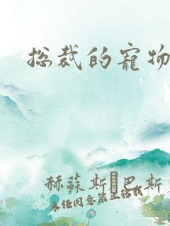 总裁的宠物