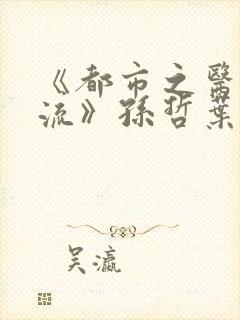 《都市之医武风流》孙哲叶巧朱颜姨巧巧