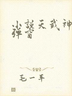 小说天武神帝无弹窗