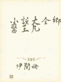 小说大全乡村盲医王凡