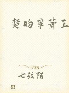 楚昀宁萧王小说