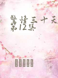 惊情三十天收听第12集