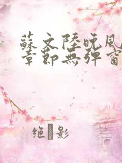 苏文陆晚风最新章节无弹窗笔趣阁