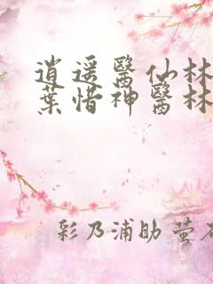 逍遥医仙林叶与叶惜神医林凡与叶惜
