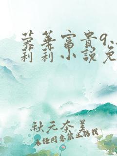 荣华富贵9小王莉莉小说免费阅读