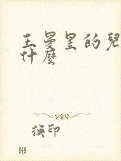 王曼昱的儿子叫什么