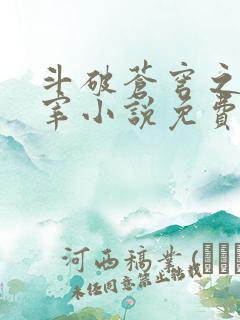 斗破苍穹之大主宰小说免费阅读