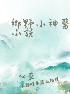 乡野小神医完整小说
