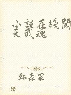 小说在线阅读霸天武魂