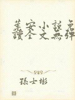 叶安小说免费阅读全文无弹窗