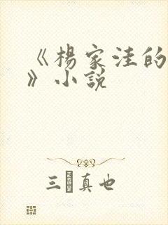 《杨家洼的情事》小说