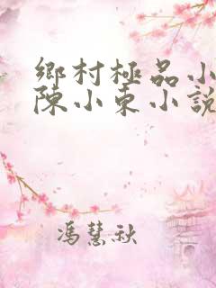 乡村极品小医仙陈小东小说在线阅读