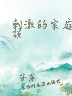 刺激的家庭乱小说