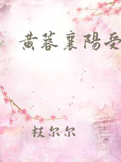 黄蓉襄阳受辱