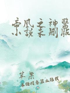 帝凰之神医弃妃小说未删版全文
