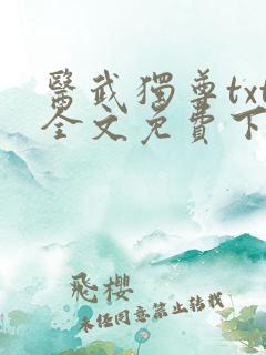 医武独尊txt全文免费下载