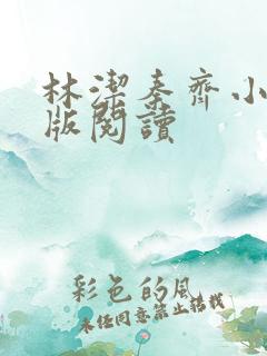 林洁秦齐小说正版阅读