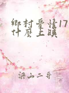 乡村爱情17部什么上映