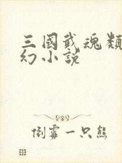 三国武魂类的玄幻小说