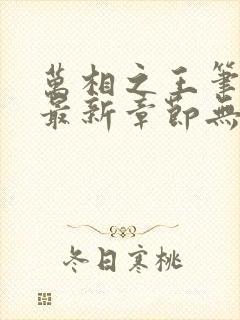 万相之王笔趣阁最新章节无弹窗